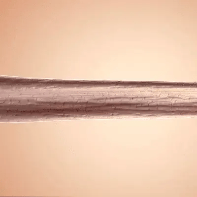 Creatine pulls water into your muscles, making them fuller & energized.