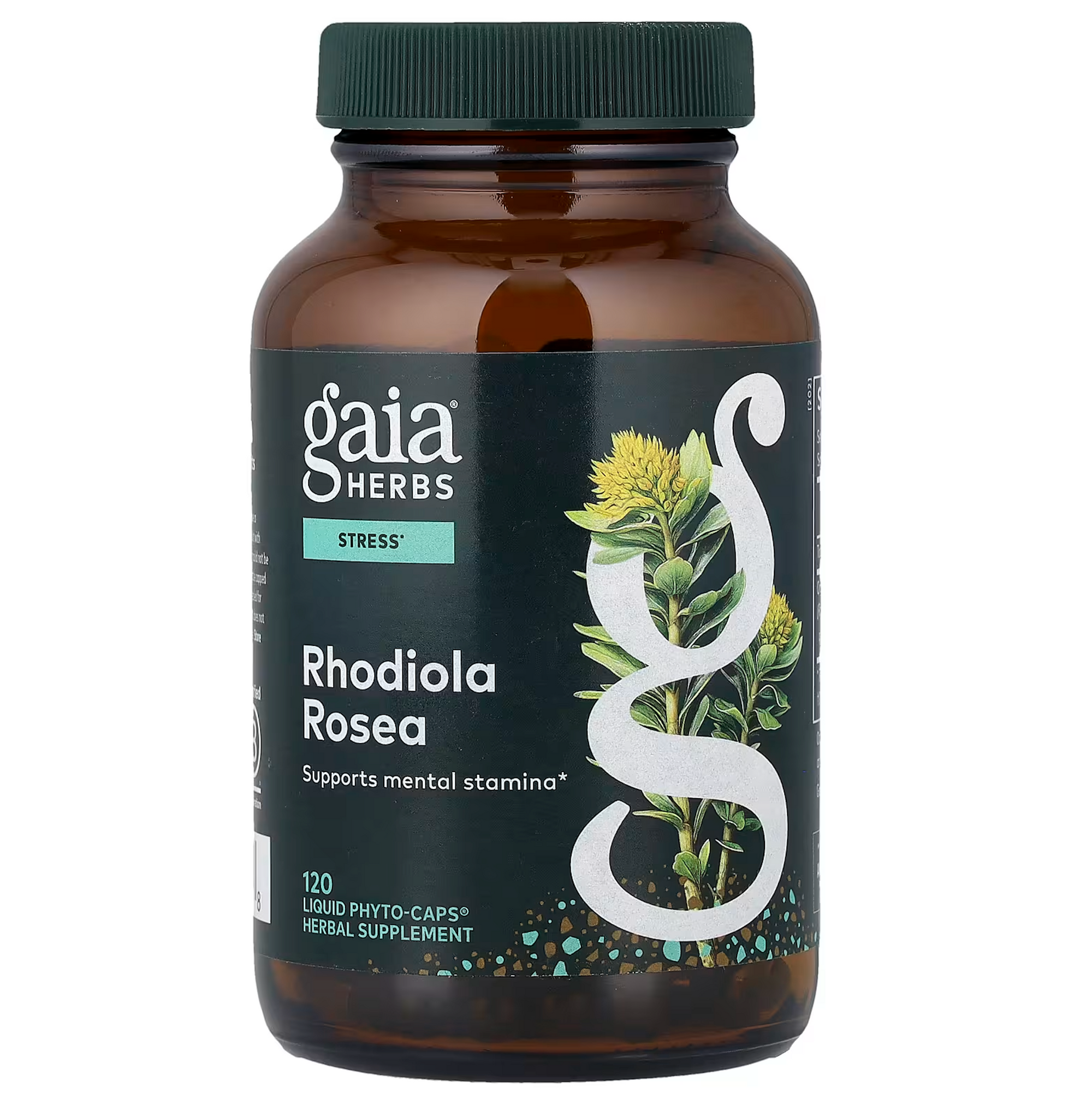 Rhodiola Rosea
