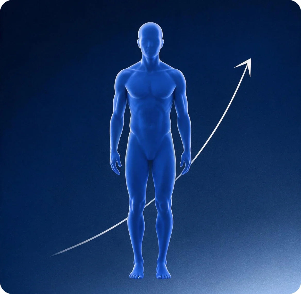 Your Muscle Is A Reservoir. For Strength, Metabolism And Your Brain.